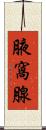腋窩腺 Scroll