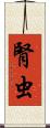 腎虫 Scroll