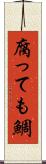 腐っても鯛 Scroll