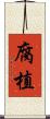 腐植 Scroll