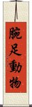 腕足動物 Scroll