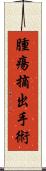 腫瘍摘出手術 Scroll
