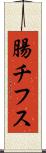 腸チフス Scroll