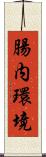 腸内環境 Scroll