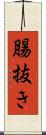 腸抜き Scroll