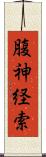 腹神経索 Scroll