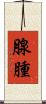 腺腫 Scroll