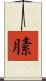 膆 Scroll