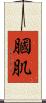 膕肌 Scroll