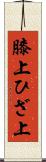膝上 Scroll