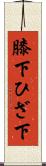膝下 Scroll