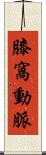 膝窩動脈 Scroll