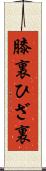 膝裏 Scroll