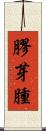 膠芽腫 Scroll