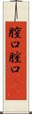 膣口 Scroll