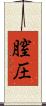 膣圧 Scroll