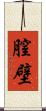 膣壁 Scroll