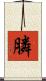 膦 Scroll