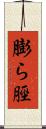 膨ら脛 Scroll