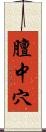 膻中穴 Scroll