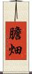 膽畑 Scroll