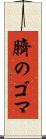 臍のゴマ Scroll