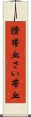 臍帯血 Scroll