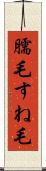 臑毛 Scroll