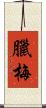 臘梅 Scroll