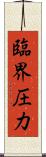 臨界圧力 Scroll