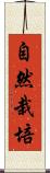 自然栽培 Scroll