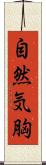 自然気胸 Scroll