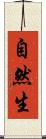自然生 Scroll