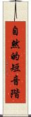 自然的短音階 Scroll
