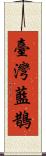 臺灣藍鵲 Scroll