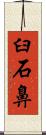 臼石鼻 Scroll