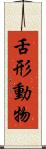 舌形動物 Scroll