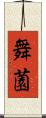 舞薗 Scroll