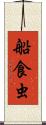 船食虫 Scroll