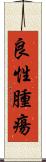 良性腫瘍 Scroll