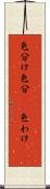 色分け Scroll