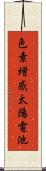 色素増感太陽電池 Scroll