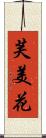 芙美花 Scroll