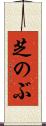 芝のぶ Scroll