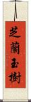 芝蘭玉樹 Scroll