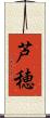 芦穂 Scroll