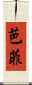 芭菲 Scroll