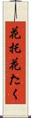 花托 Scroll