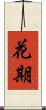 花期 Scroll