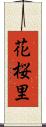 花桜里 Scroll